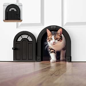 a cat standing in front of a black door