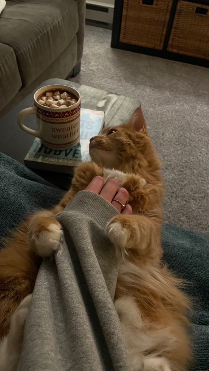 an orange cat laying on top of a couch next to a coffee cup and blanket