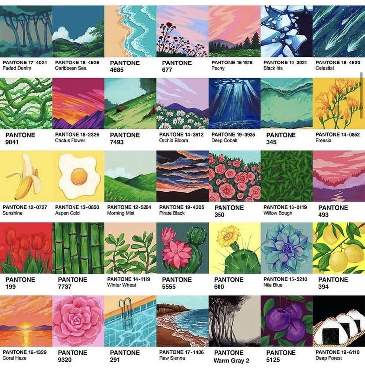 a bunch of different pictures with flowers and plants in them, all on one page