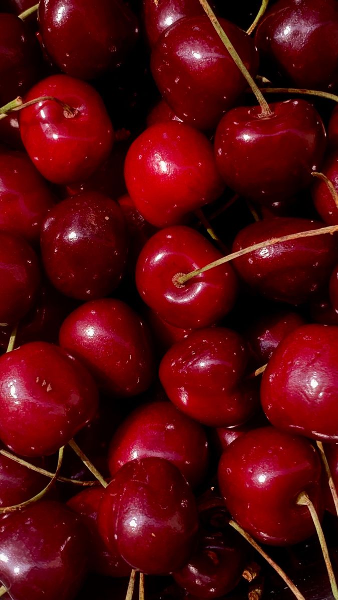 Photo de cerises rouges en gros plan Cherry Cherry, Aesthetic Summer, Aesthetic Vintage, Cherry Red, Cherry, Collage, Red, Pins, Quick Saves