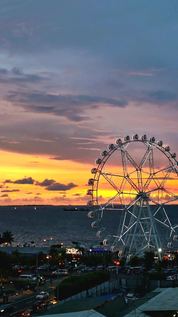 a ferris wheel sitting on top of a lush green field next to the ocean at sunset