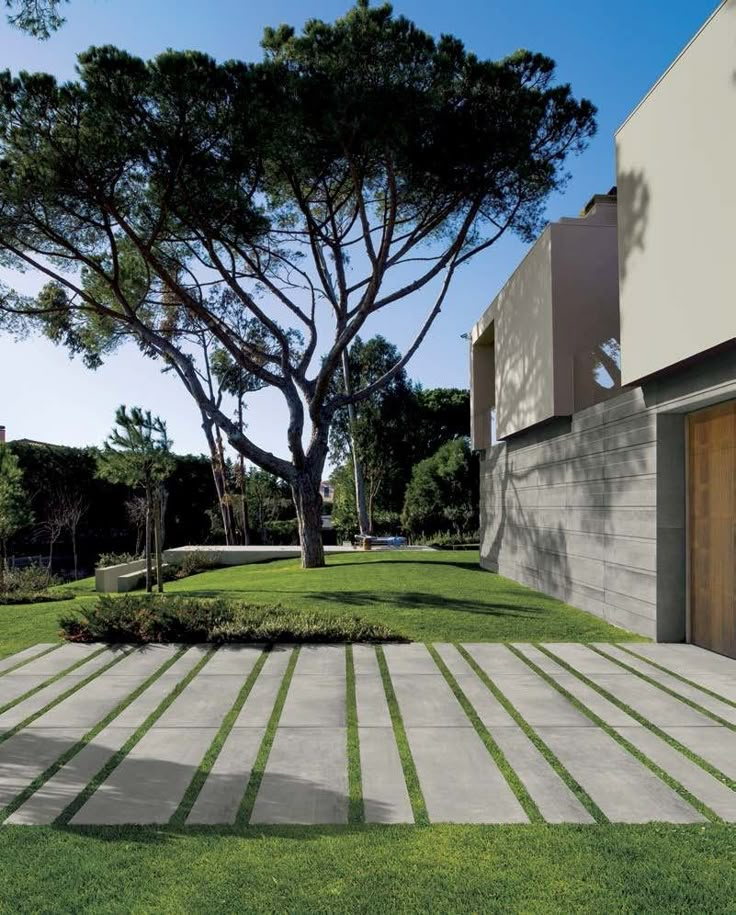 an outdoor area with grass and trees in front of a building that has a large tree on the other side