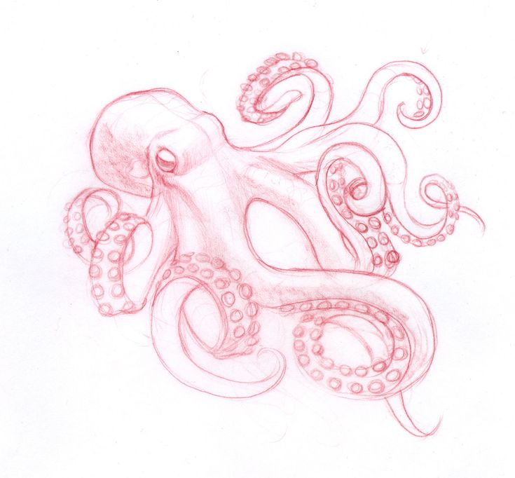 an octopus drawn in red pencil on white paper