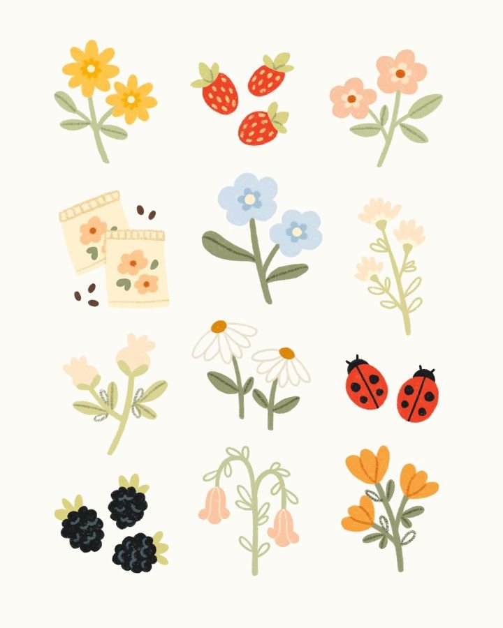 various flowers and ladybugs on a white background