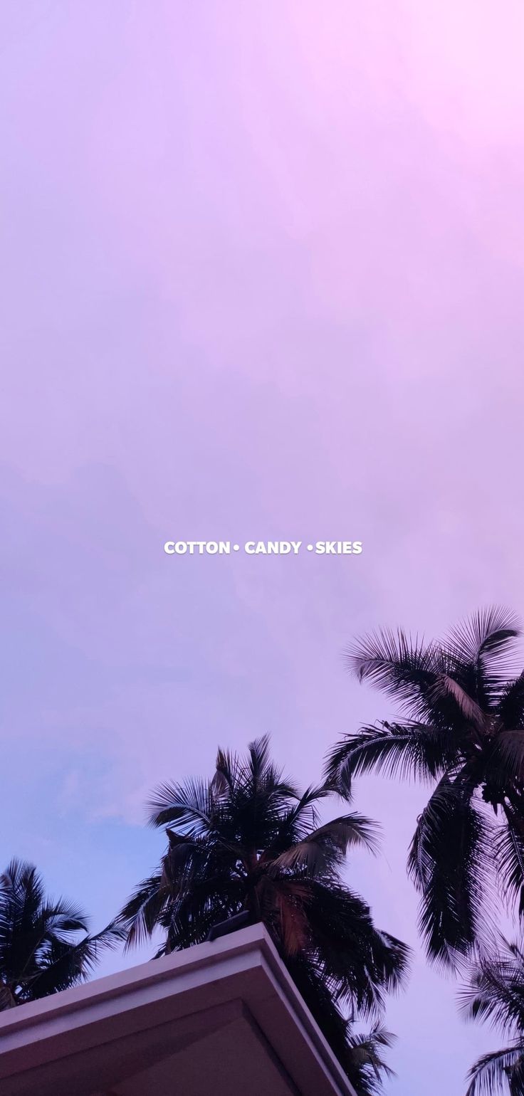 the sky is very cloudy and there are some palm trees in front of it that reads cotton candy skies