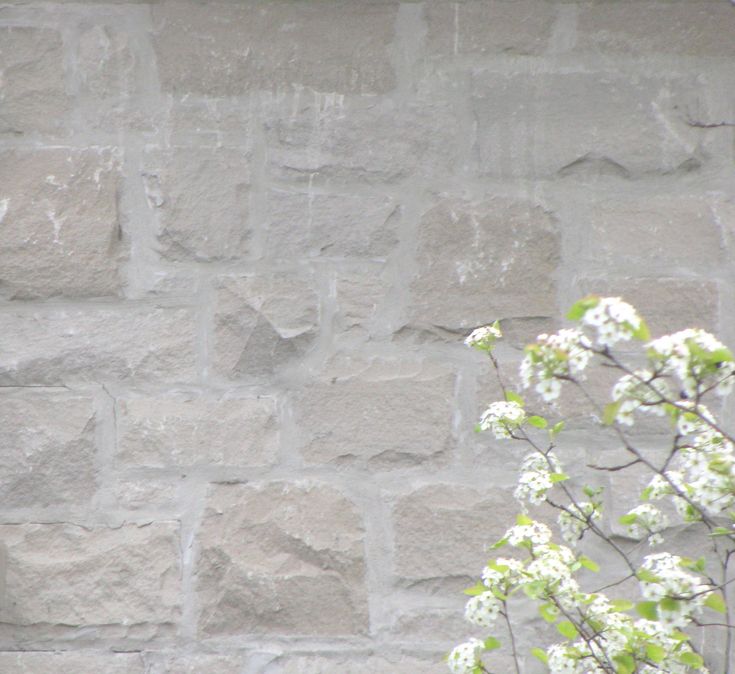 a bird perched on the side of a brick wall next to a tree with white flowers