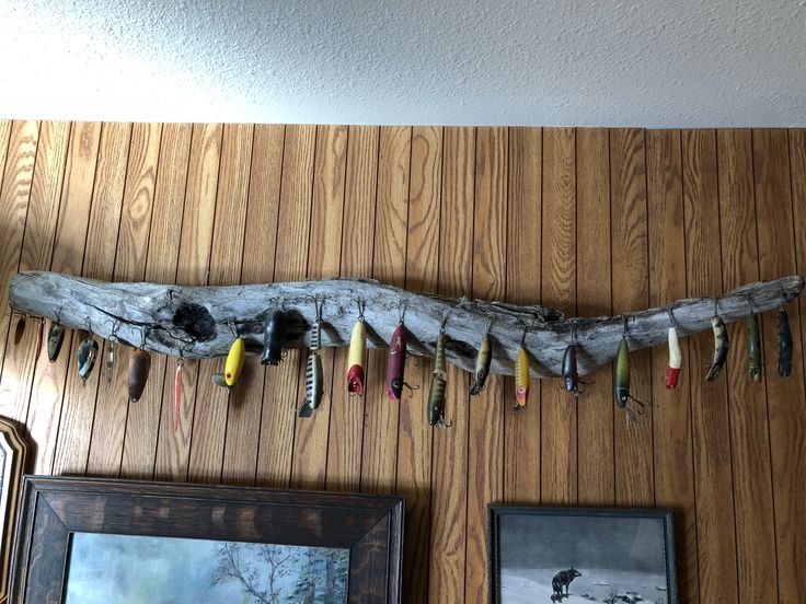 there are many different fishing lures hanging on the wall next to pictures and frames