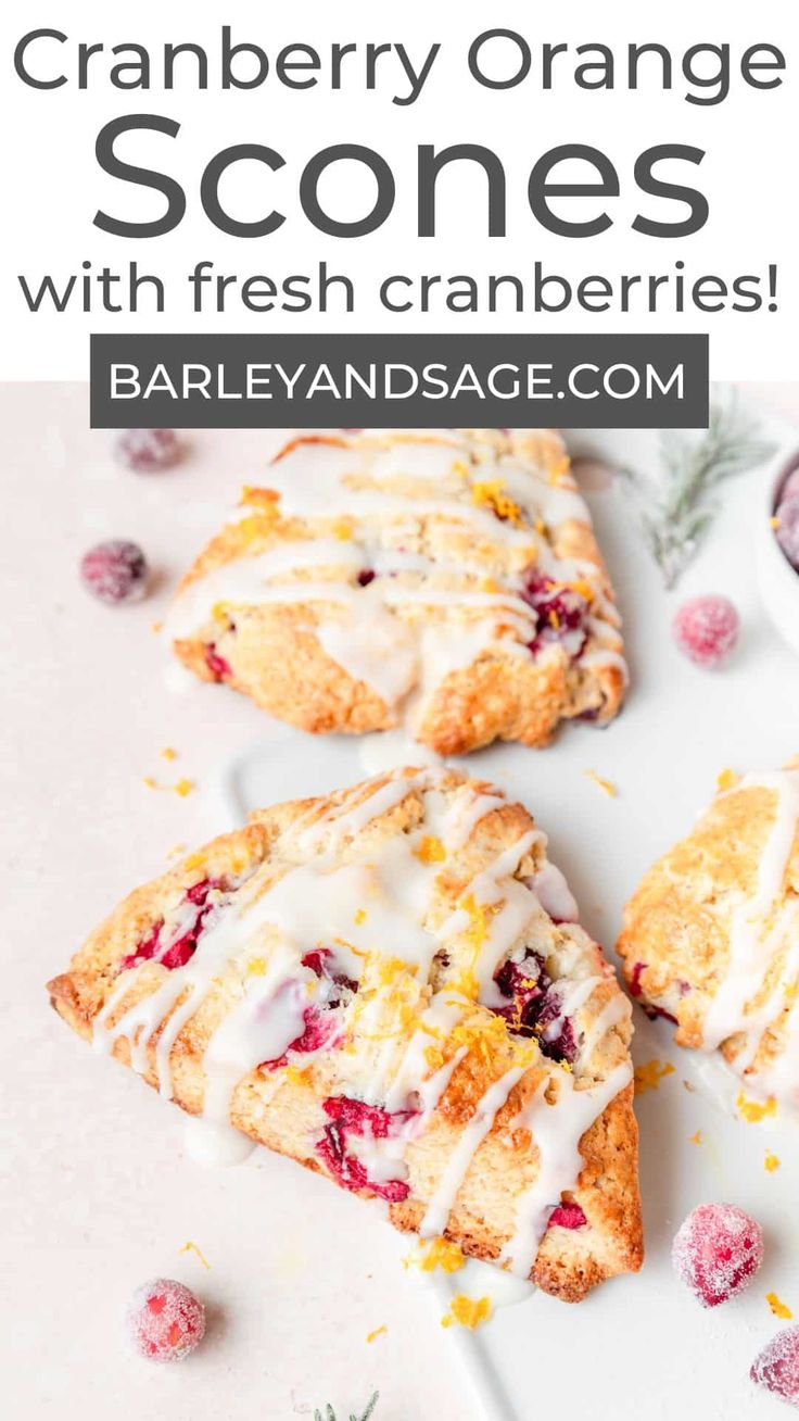 cranberry orange scones with fresh cranberries on top