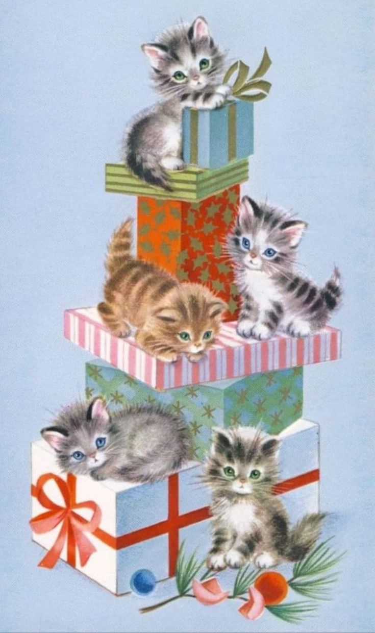 three kittens are sitting on top of presents