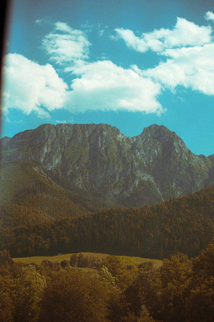 the mountains are covered in trees and grass under a blue sky with fluffy white clouds