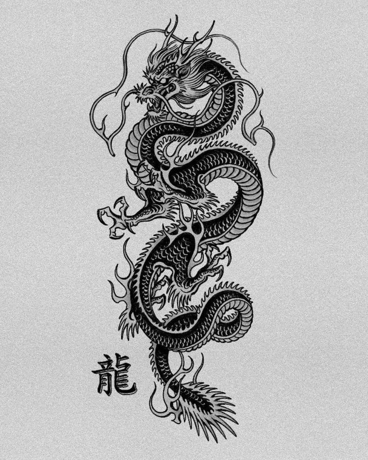 a black and white drawing of a dragon with chinese characters on it's back