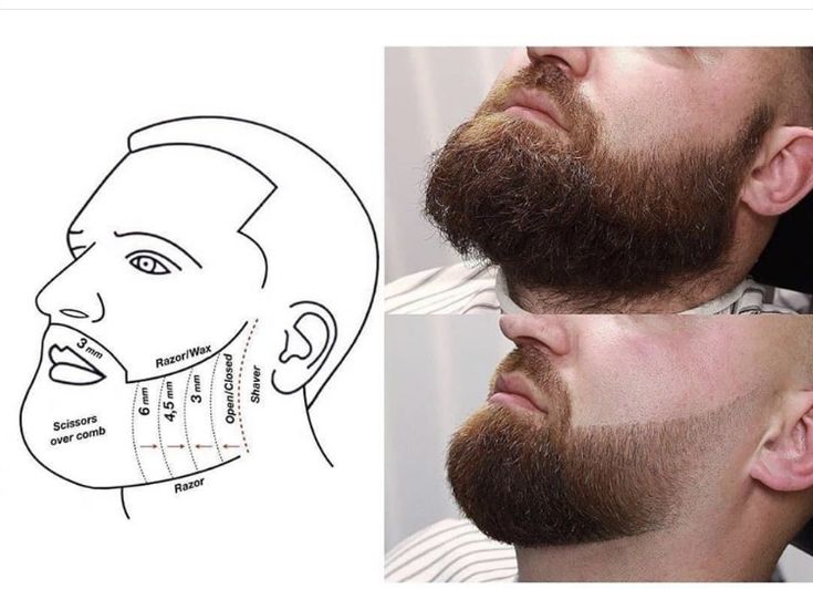 Beard Cut Style, Beard Trimming Styles, Faded Haircut, Faded Beard Styles, Haircut Guide, Beard Line, Beard And Mustache Styles, Hair Cut Guide, Beard Tips