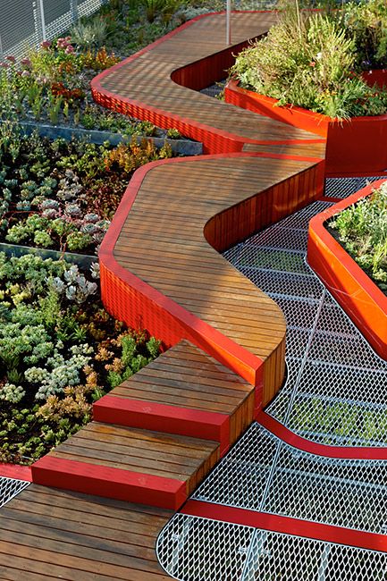 an outdoor garden with many different types of plants and steps that lead up to the top