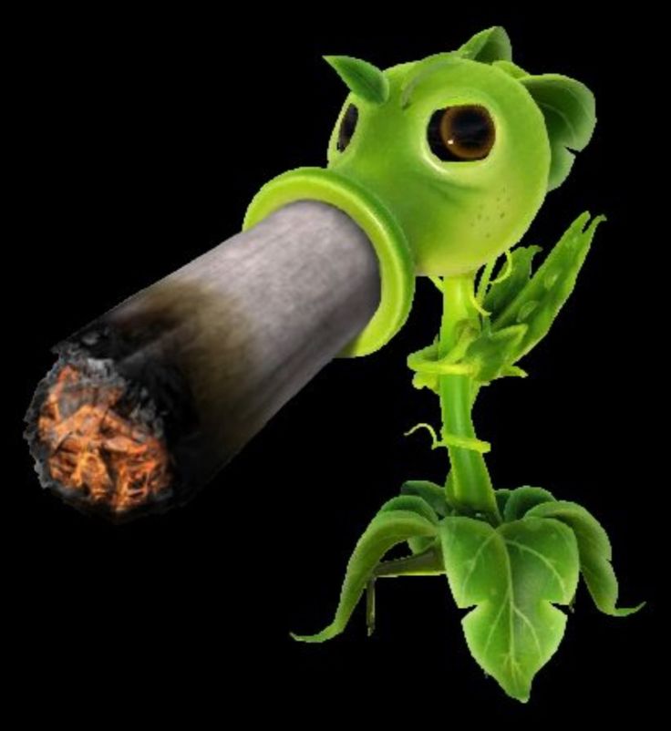 an image of a green plant with fire coming out of it