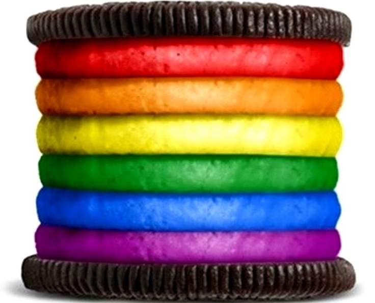 a stack of rainbow colored cookies with the caption say what you want about gay rights