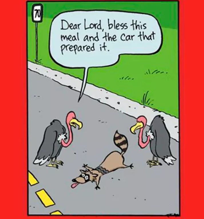 the cartoon shows three vultures and one is saying dear lord, this meal and the car - that prepared it