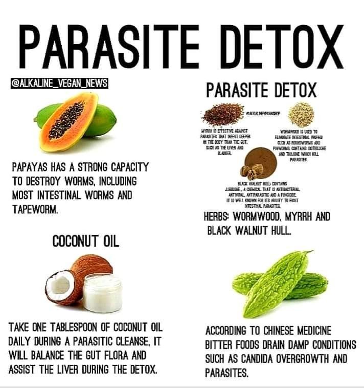 Parasite Cleanse, Herbs For Health, Alkaline Foods, Healing Food, Natural Health Remedies, Natural Medicine, Health Remedies, Herbal Remedies, Healthy Foods