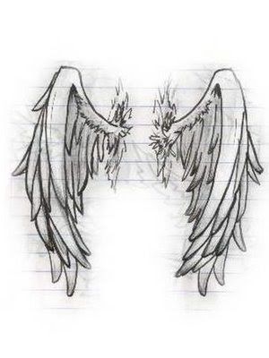 two angel wings on top of each other, with one wing spread out to the side