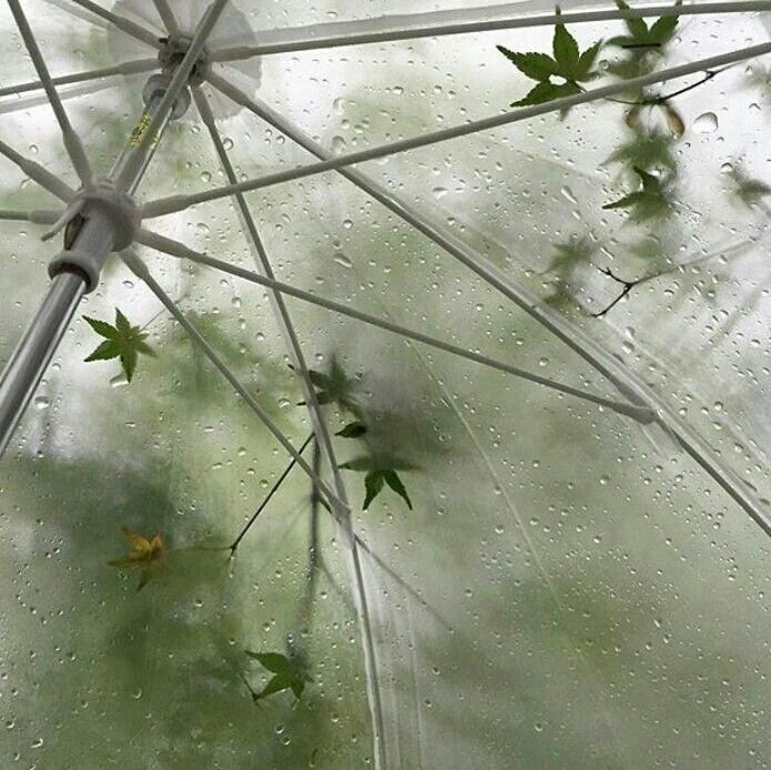 the underside of an umbrella with leaves on it in the rain and water droplets surrounding it