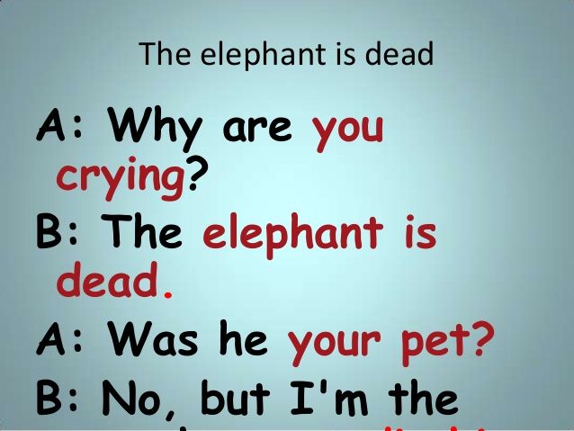 an elephant is dead with the caption saying, why are you crying? b the elephant is dead