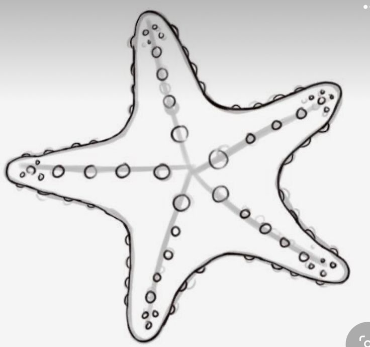 a drawing of a starfish with dots on it's body and back side