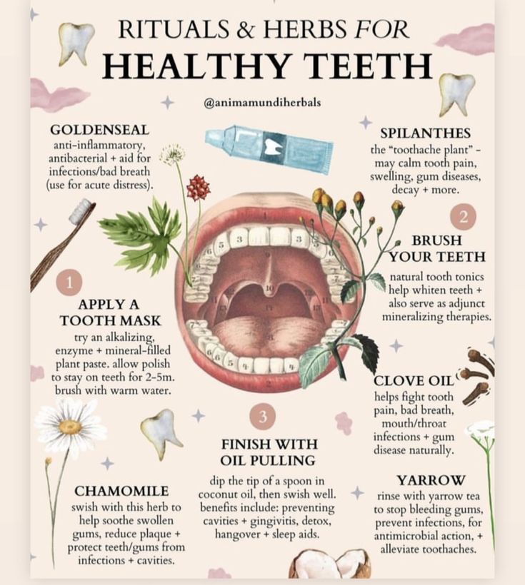 دورة شهرية, Medical Herbs, Teeth Health, Natural Healing Remedies, Herbal Healing, Home Health Remedies, Herbs For Health, Teeth Care, Natural Health Remedies