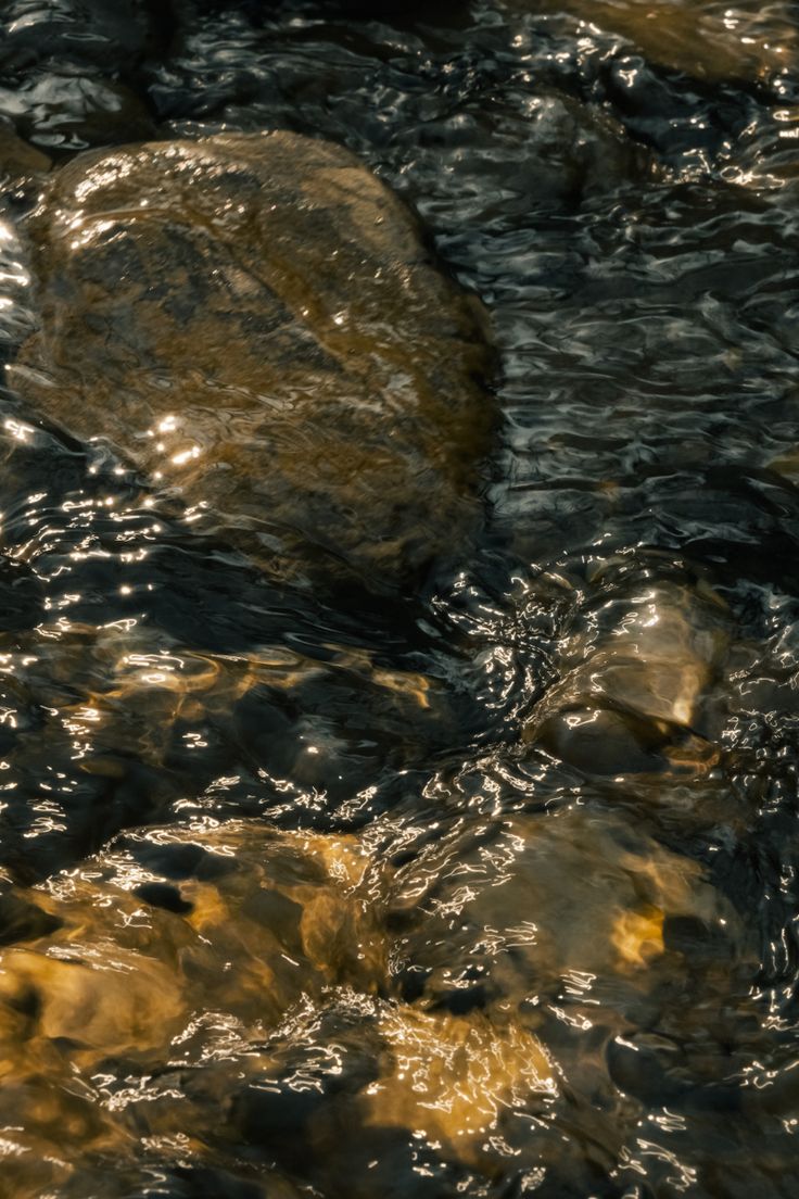 some rocks in the water near each other