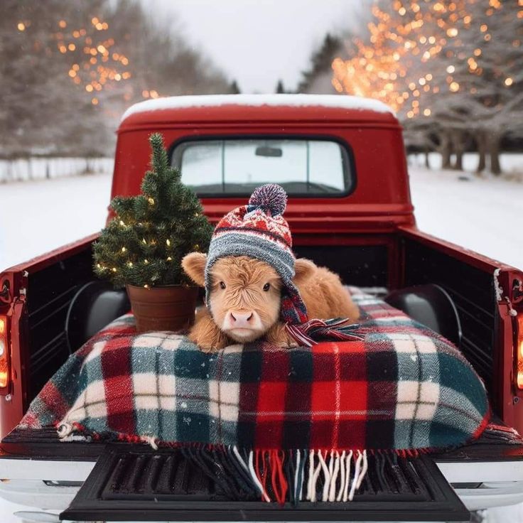 a teddy bear sitting in the back of a truck with a plaid blanket on it