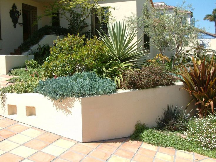 an outdoor garden area with various plants and shrubs