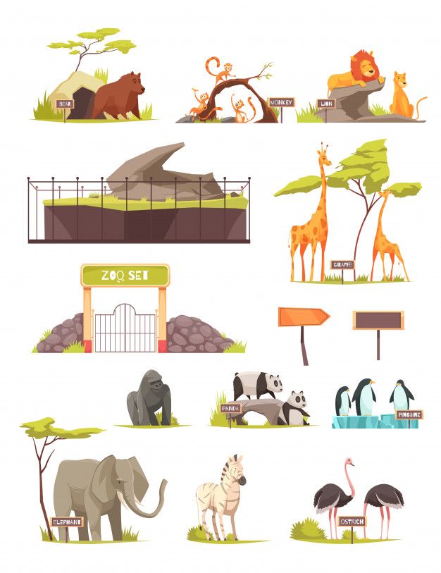 different types of zoo animals and their habitats in flat cartoon style on white background