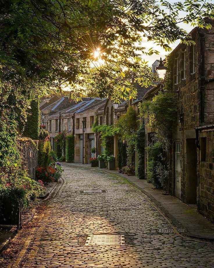 an old cobblestone street is lined with houses and trees in the sunlight shining down on them