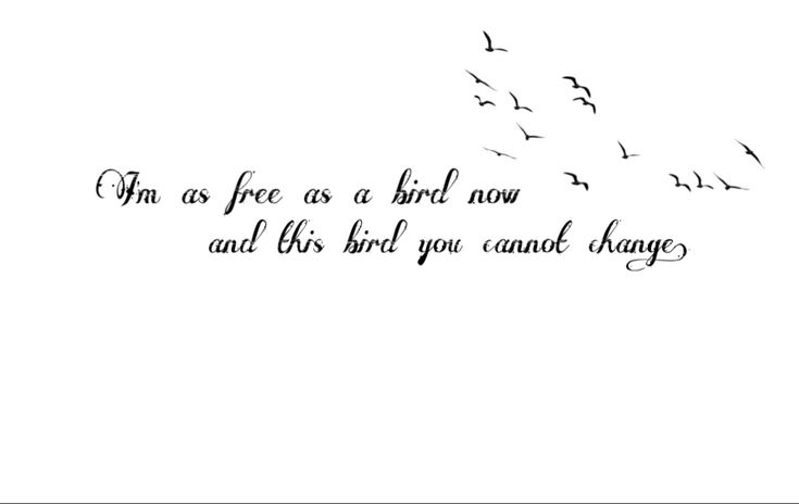 a flock of birds flying in the sky with a quote written on it that says, i'm as free as a bird now and this bird you cannot dragg