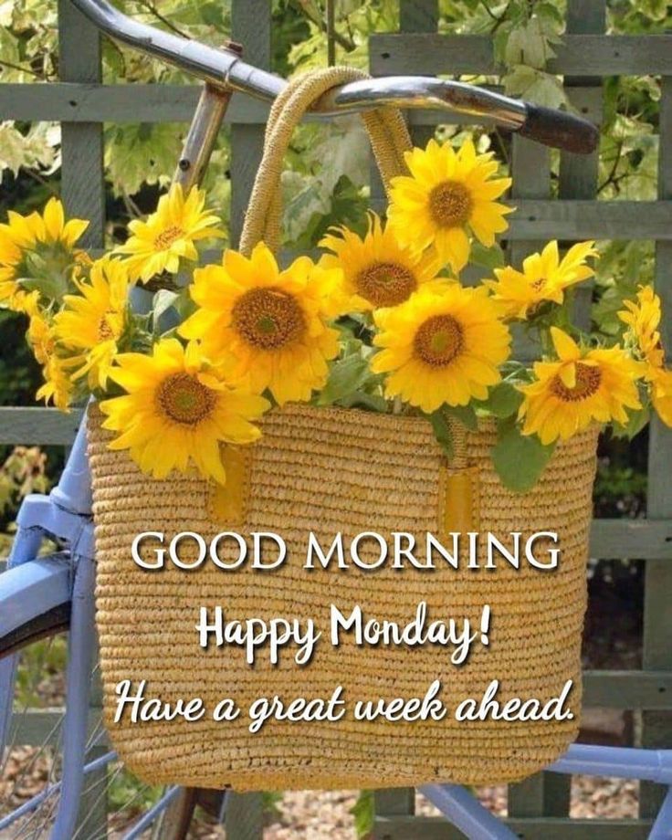 a basket with sunflowers hanging from it and the words good morning happy monday have a great week ahead