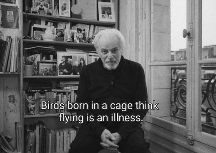 an old man sitting in front of a bookshelf with a quote about birds born in a cage think flying is an illusion