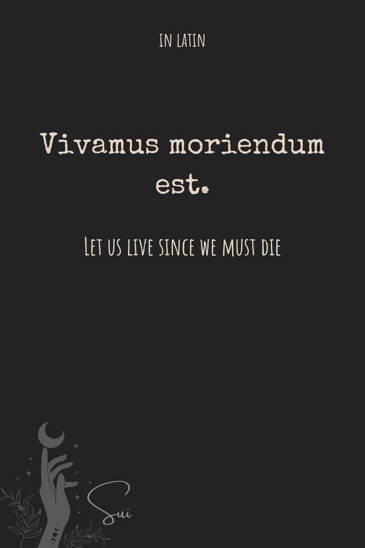 Vivamus moriendum est. Latin Word Tattoos, Vivamus Moriendum Est, Best Latin Quotes, Latin Phrase Tattoos, Latin Quote Tattoos, Obsessive Love, Latin Mottos, Phrase Tattoos, Meaningful Tattoo Quotes