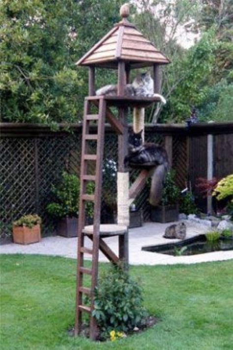 a cat sitting on top of a wooden tower in the grass next to a fence