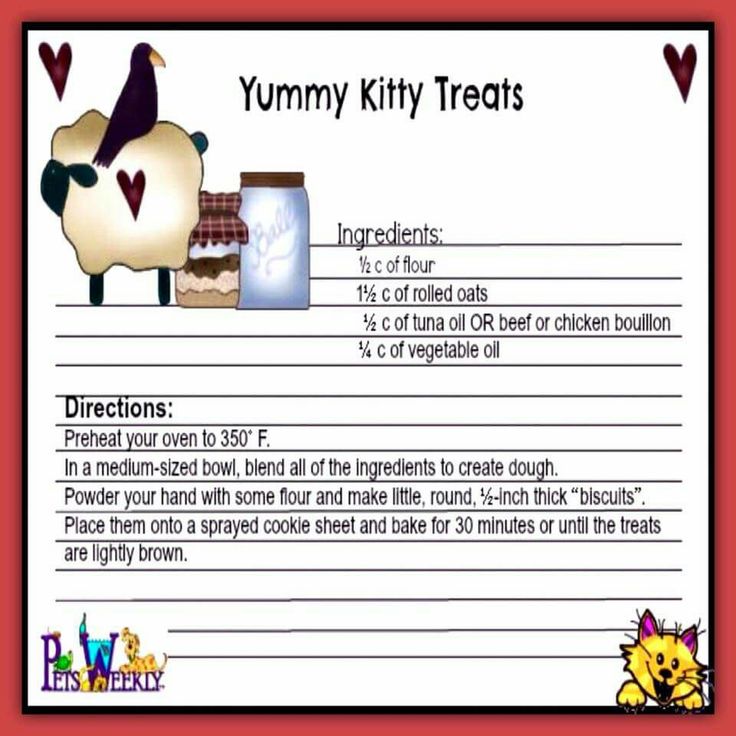 a recipe for yummy kitty treats