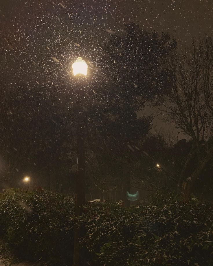 a street light in the middle of a snowy night with snow falling all around it