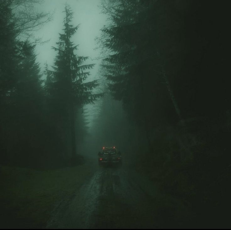 a car driving down a dark road in the woods