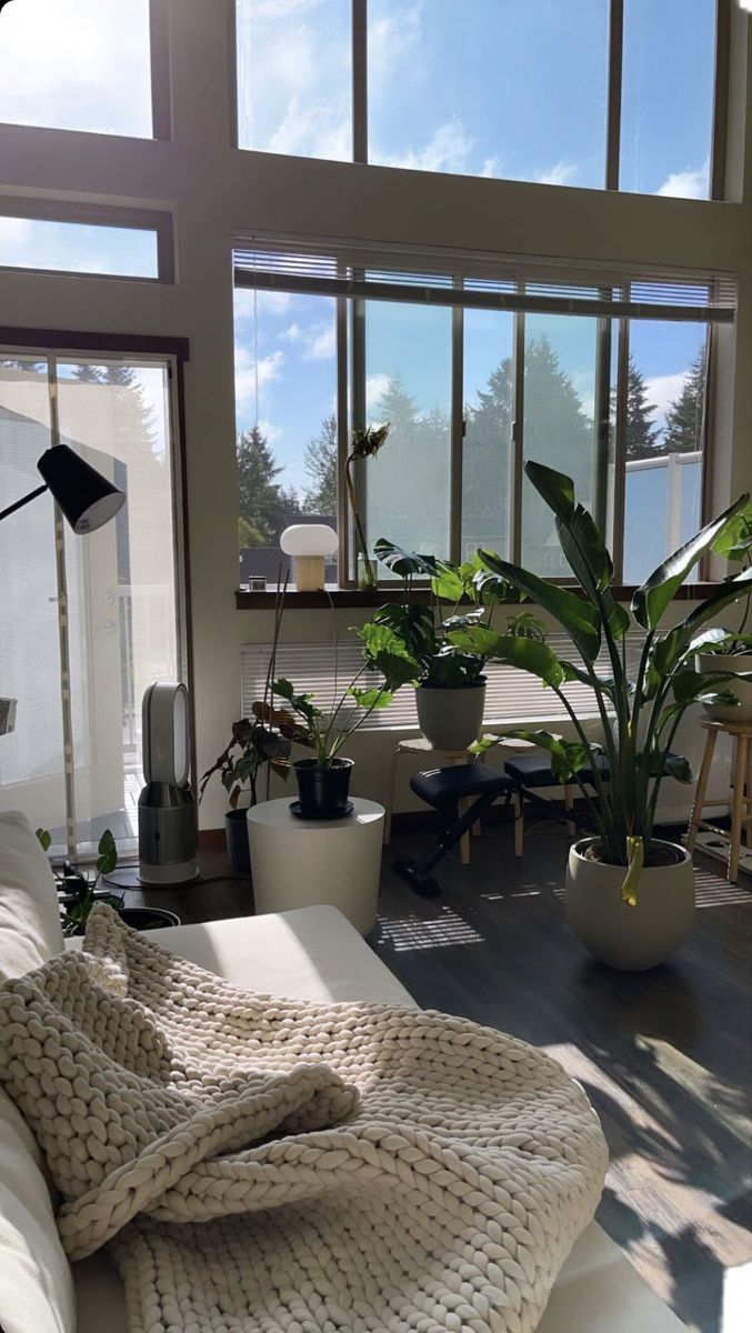 a living room filled with furniture and lots of plants on top of it's windowsill