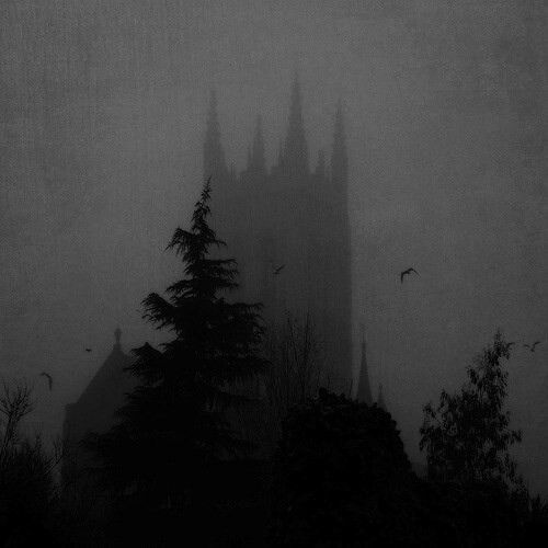 a foggy cathedral with trees in the foreground