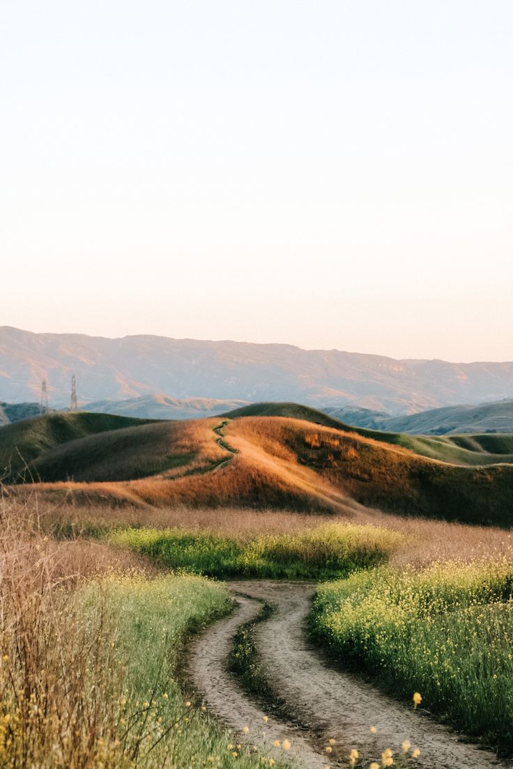 a dirt road in the middle of a grassy field with mountains in the back ground