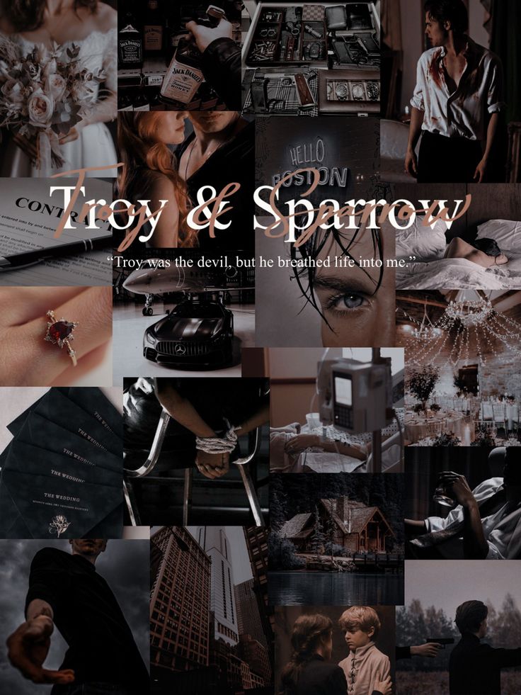 Sparrow aesthetic The Rake Lj Shen, Sparrow Lj Shen, Boston Belles Lj Shen, Dinig Room, Lj Shen, L J Shen, Book Edits, Books Fiction, Literary Characters