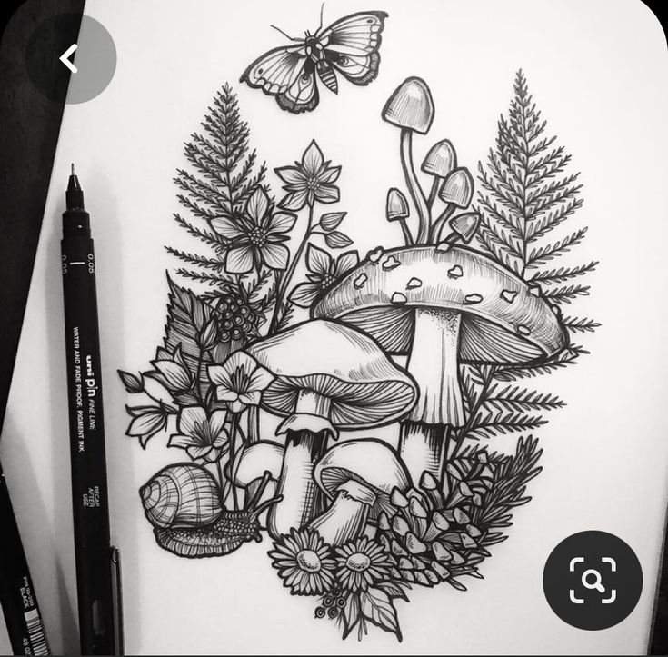 a pencil drawing of mushrooms and ferns with butterflies in the background on paper next to markers