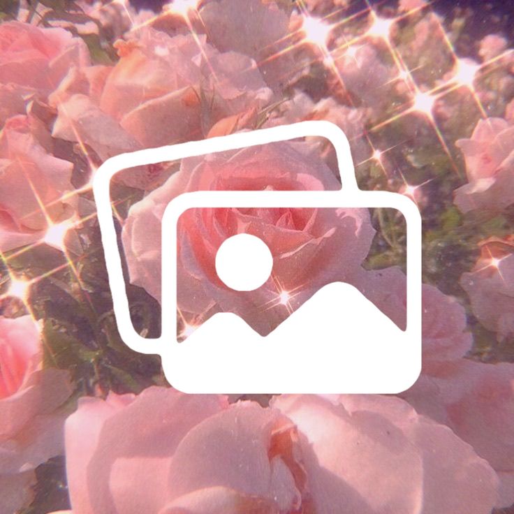 an image of pink flowers with the camera logo over it's left side in front of them