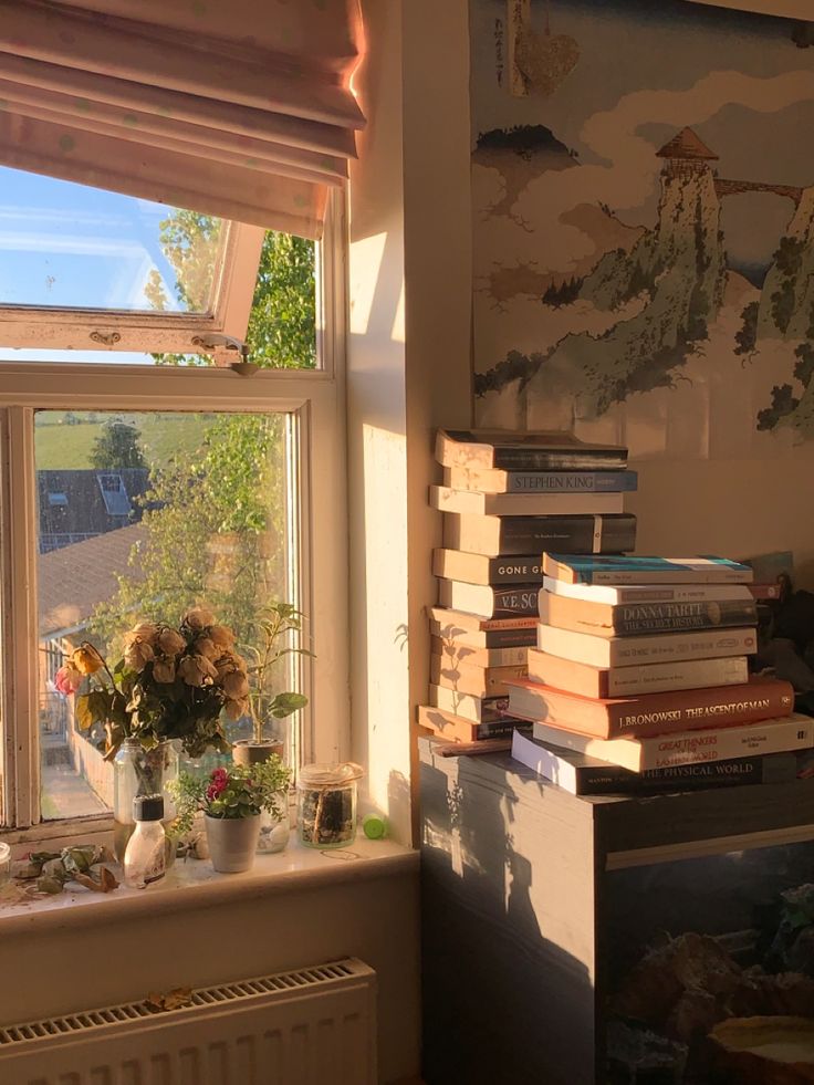 a stack of books sitting on top of a window sill next to a radiator