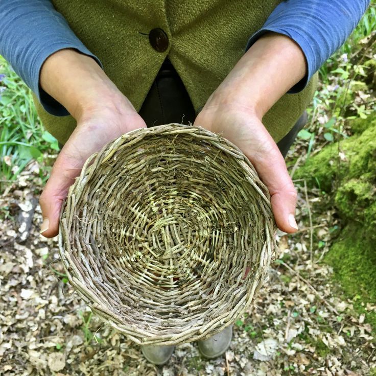 a person holding a wicker basket in their hands with moss growing on the ground