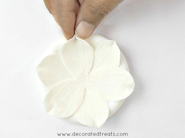 a person is making a flower out of clay with their hands on the top of it