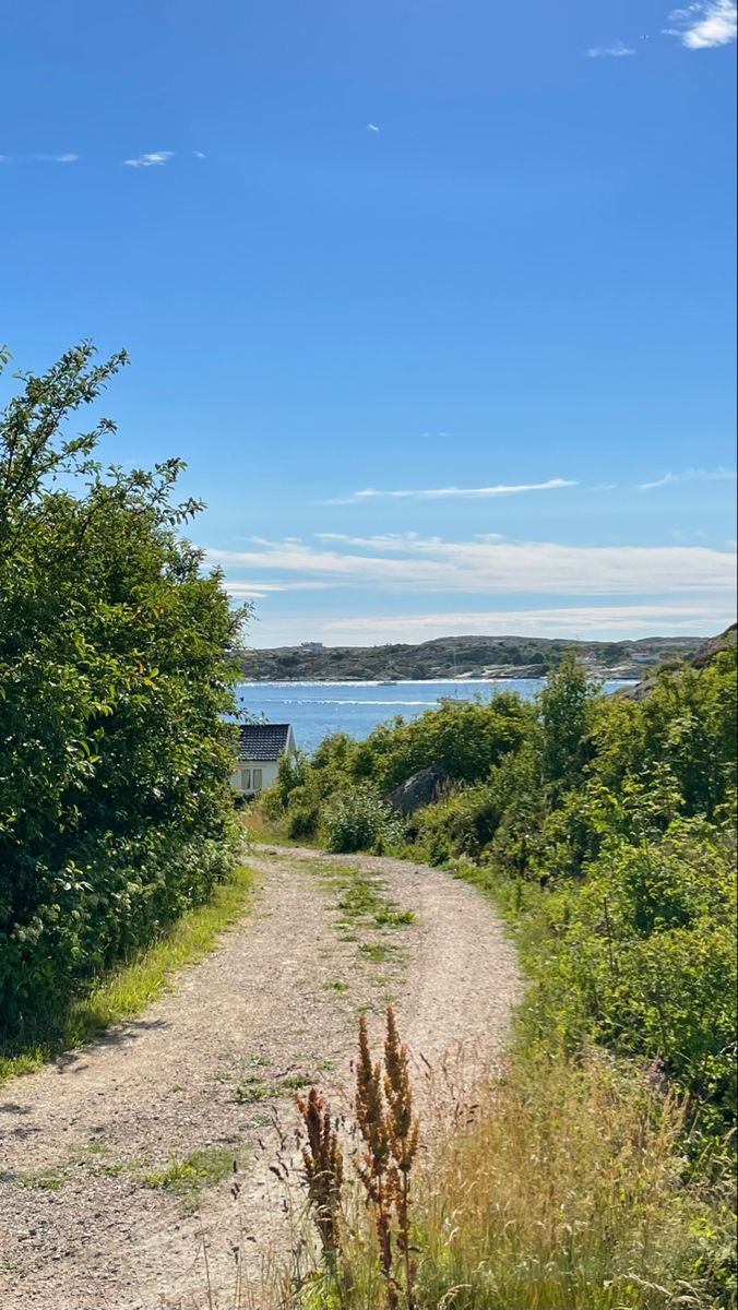 a dirt road with trees and water in the background