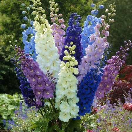 a vase filled with purple, white and blue flowers